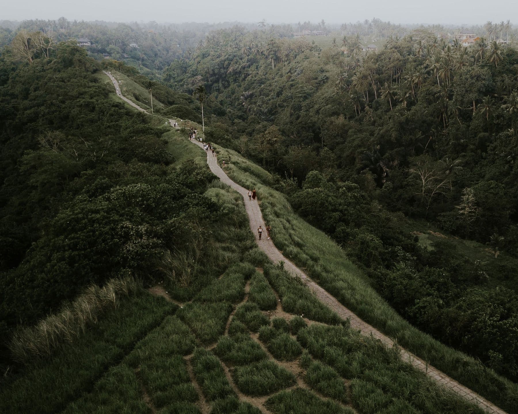 campuhan ridge walk